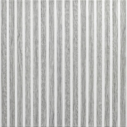 Панель-рейка 680х670х5мм Біло-срібний SW-00002531